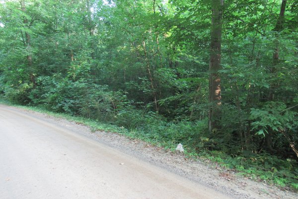 Lot 2954