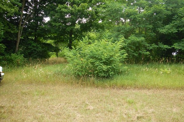 Lot 3104