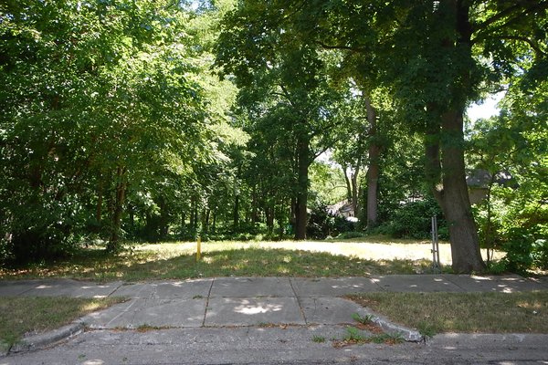 Lot 3142