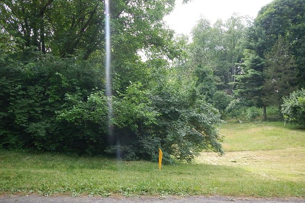 Lot 3185