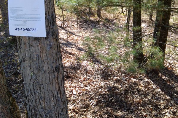 Lot 3778