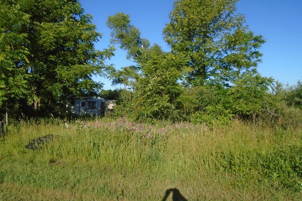 Lot 3791