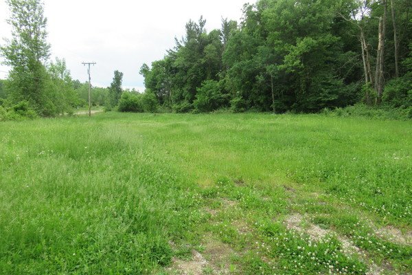 Lot 3810