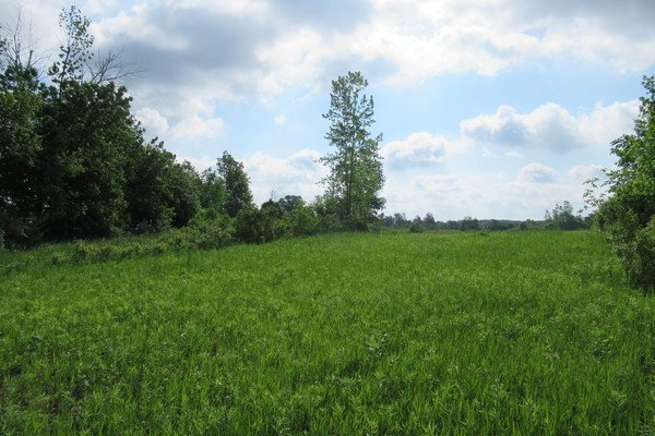 Lot 3813