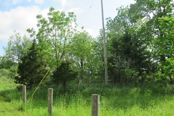 Lot 3814