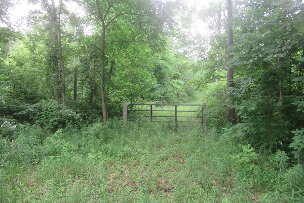 Lot 4002