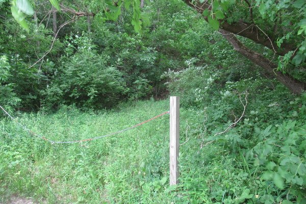 Lot 4013