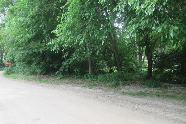 Lot 4015