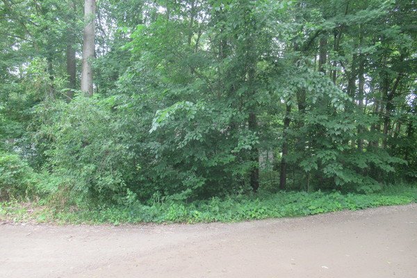 Lot 4016