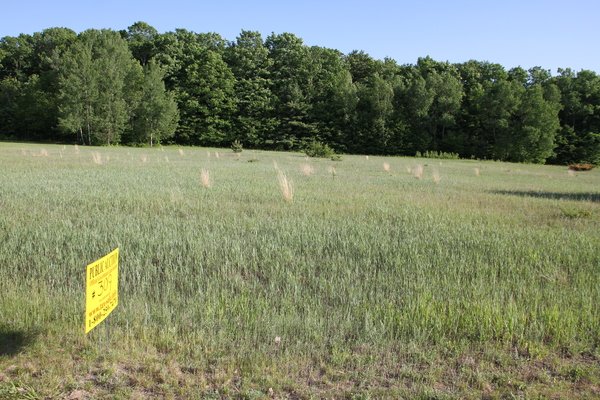 Lot 309