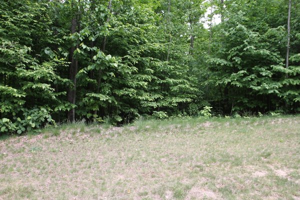 Lot 331