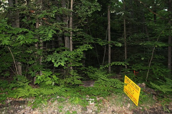 Lot 463