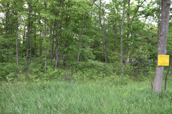 Lot 4212