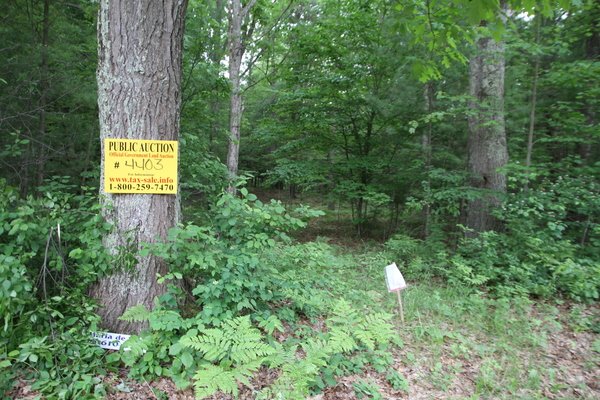 Lot 4403