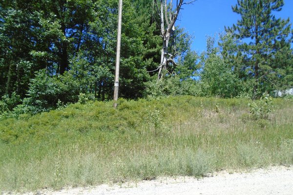 Lot 4505
