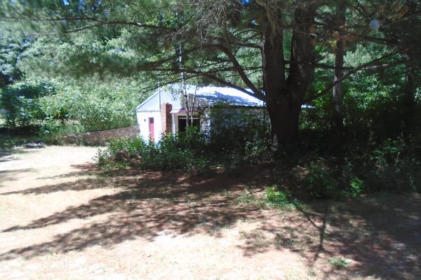 Lot 4511