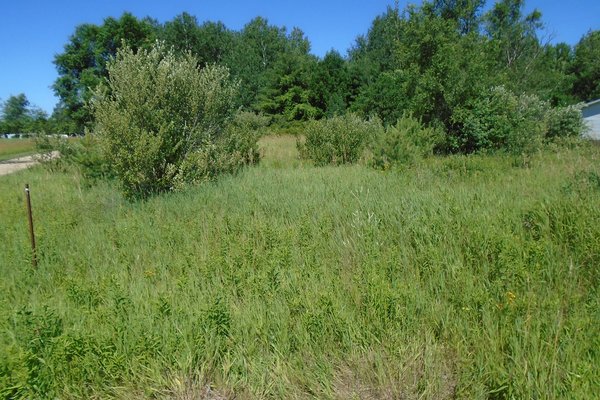 Lot 4548