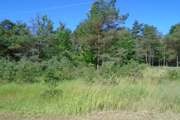 Lot 4584