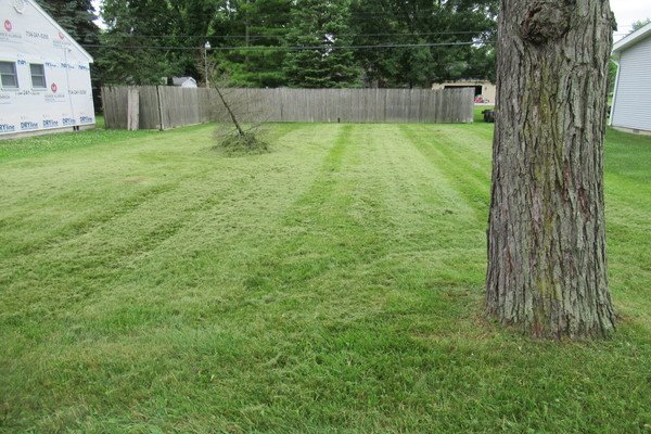 Lot 4705
