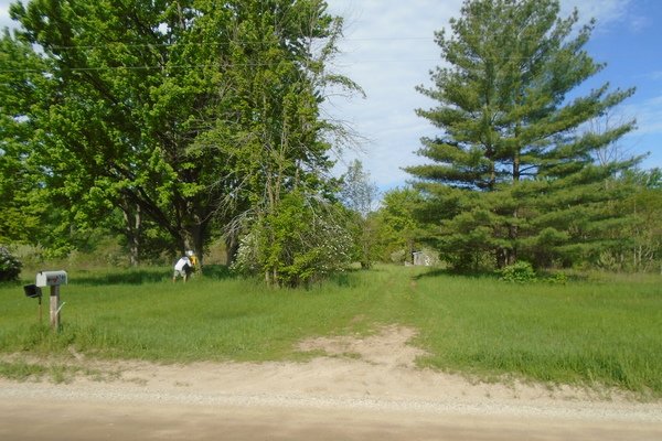 Lot 7007