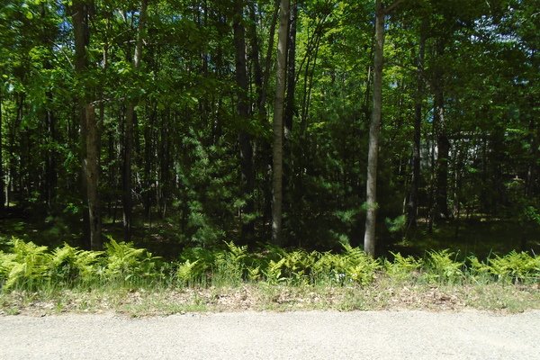 Lot 507