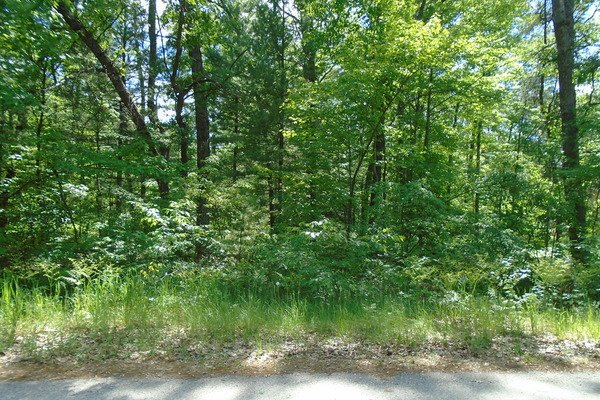 Lot 510