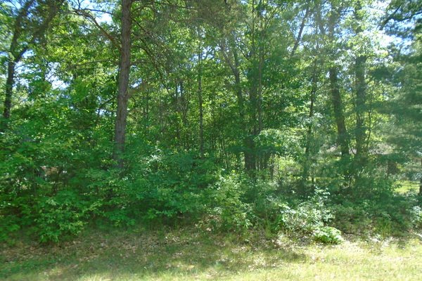 Lot 511