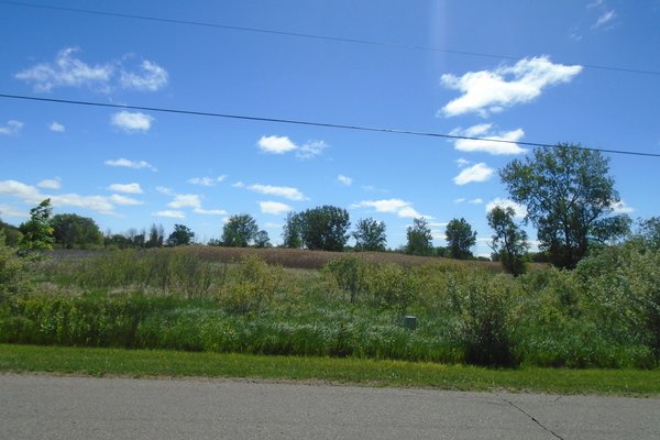 Lot 529