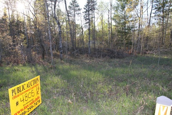 Lot 4805