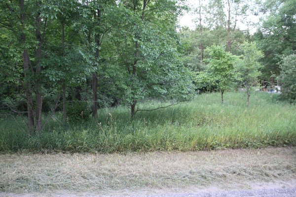 Lot 5213