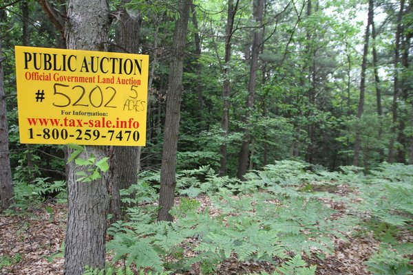 Lot 5202
