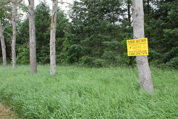Lot 5204