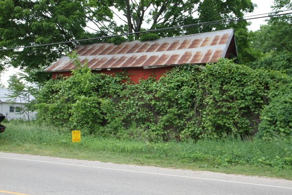 Lot 5209