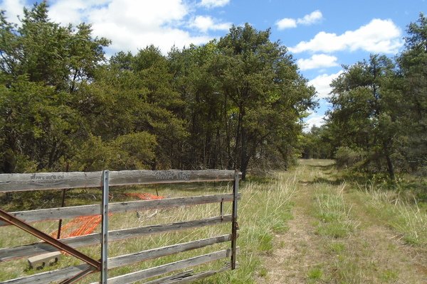 Lot 5301