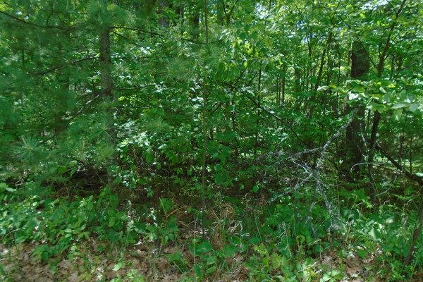 Lot 5302