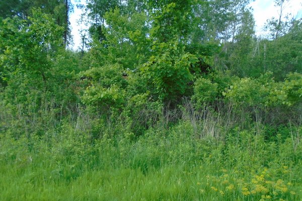 Lot 5309