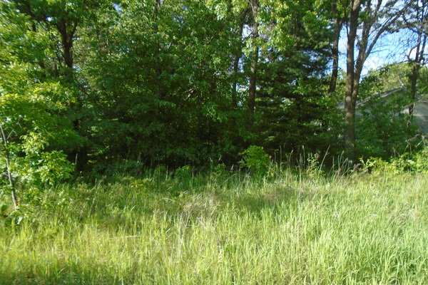 Lot 5334