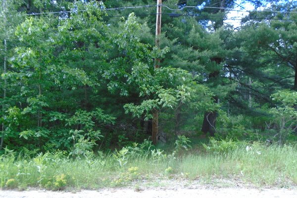 Lot 5335