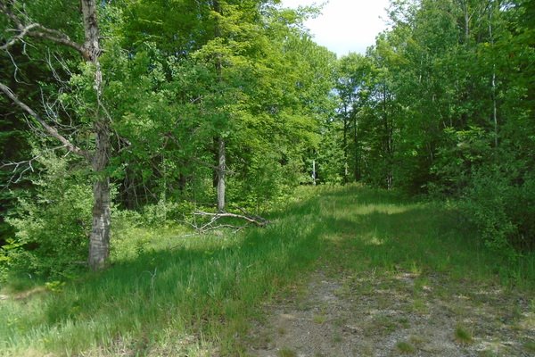 Lot 5340
