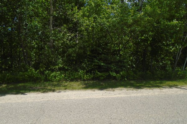 Lot 5345