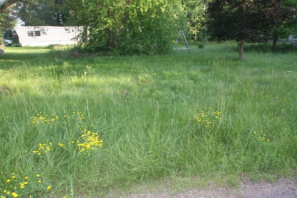 Lot 5417