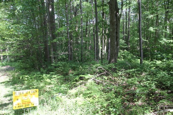 Lot 5501