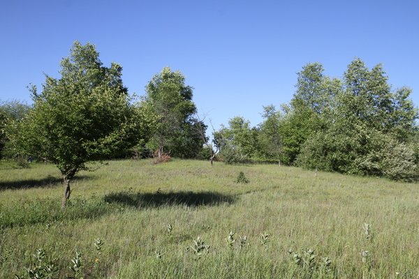 Lot 5507