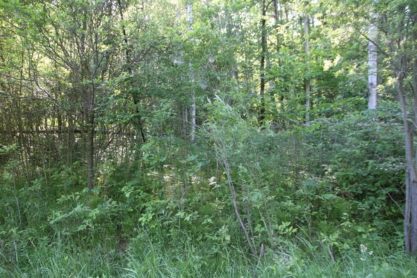 Lot 5508