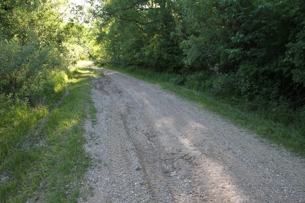 Lot 5514