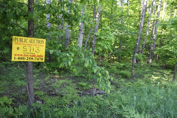 Lot 5713