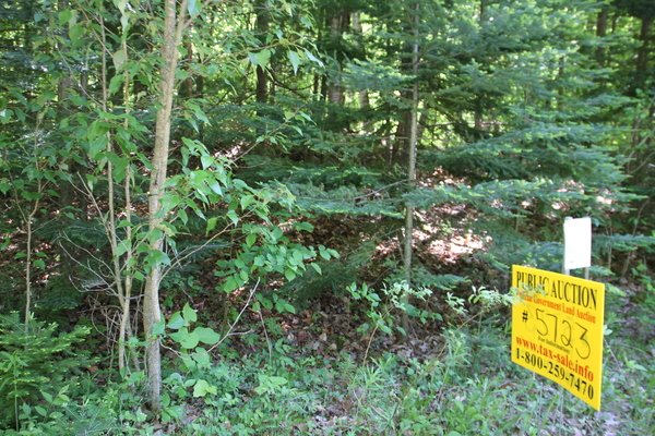 Lot 5723