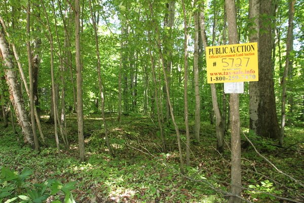 Lot 5727
