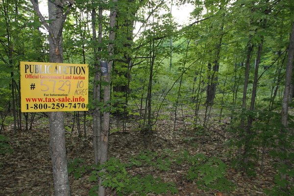 Lot 5729