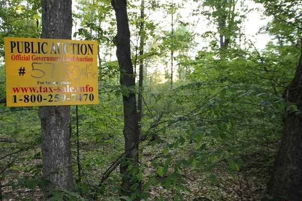 Lot 5730